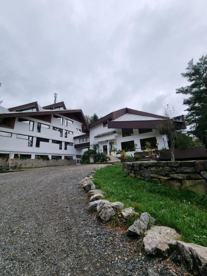 Randunica Hotel Văliug Exterior foto