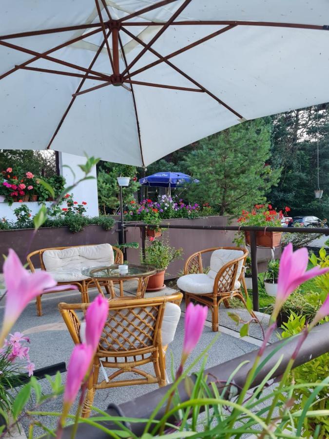 Randunica Hotel Văliug Exterior foto
