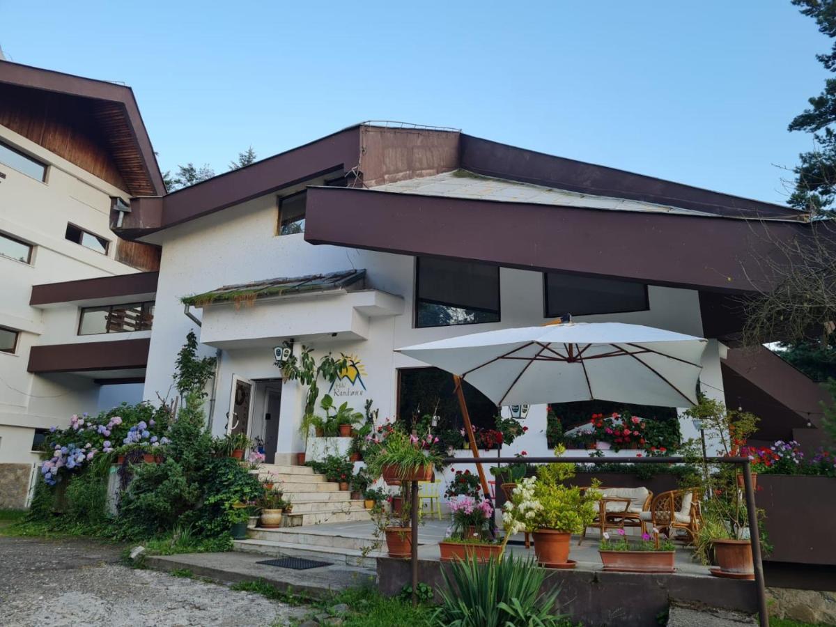 Randunica Hotel Văliug Exterior foto